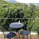 Quinta Da Portelada * פסו דה רגואה