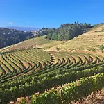 Quinta Da Portelada *