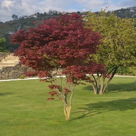 Quinta Da Portelada Ferienhaus