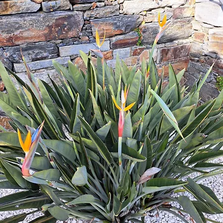 Quinta Da Portelada בית נופש פסו דה רגואה