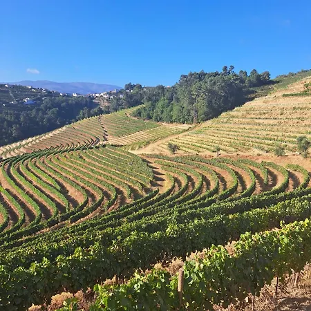 Quinta Da Portelada *