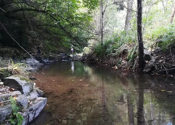Quinta Da Portelada Hébergement de vacances Peso da Régua