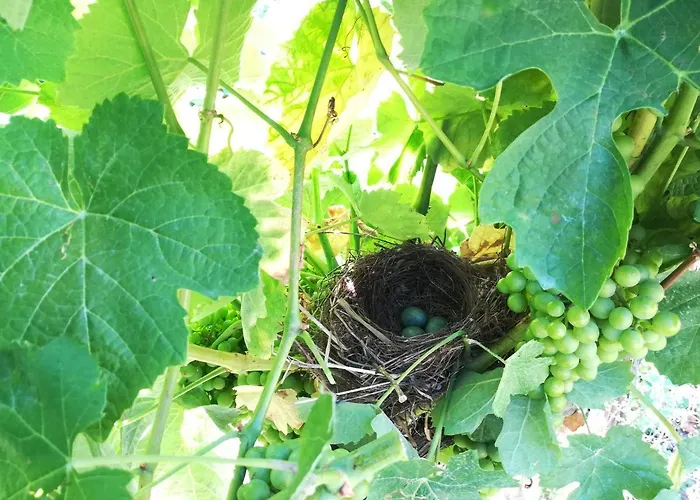 Quinta Da Portelada Hébergement de vacances