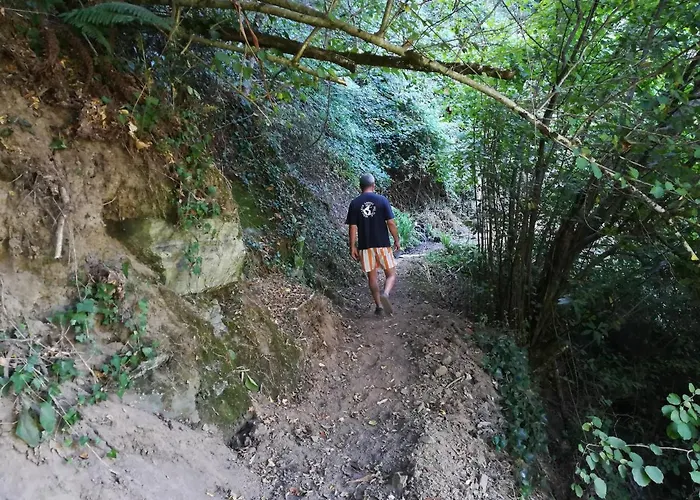 Hébergement de vacances Quinta Da Portelada