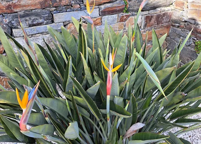 Quinta Da Portelada Hébergement de vacances Peso da Régua