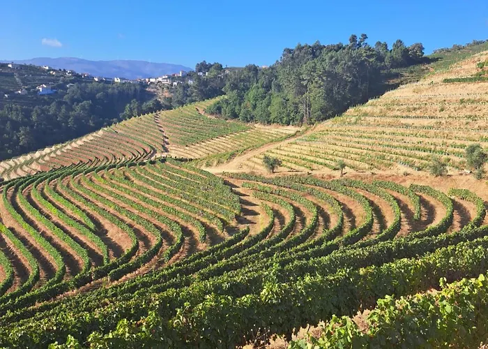 Quinta Da Portelada *