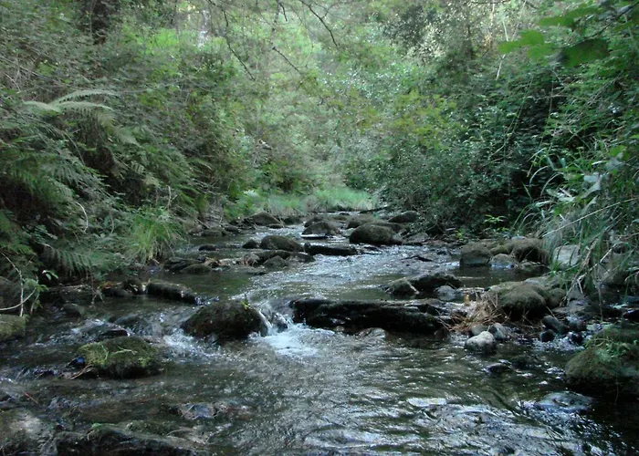 Hébergement de vacances Quinta Da Portelada