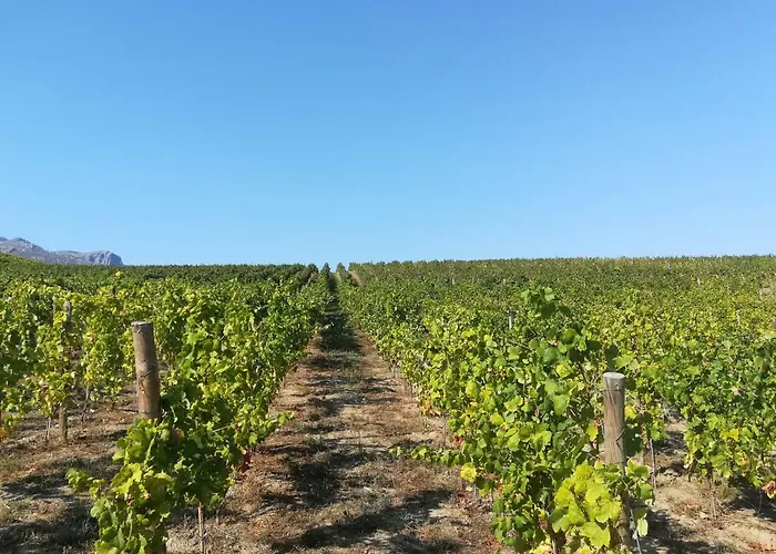 Quinta Da Portelada *